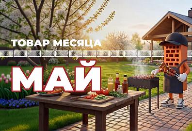 Акция "Товар месяца" кирпич Braer